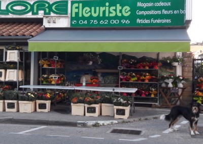 Pose d’un store intérieur et store banne – LA VOULTE SÛR RHÔNE (07)