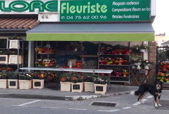 Pose d’un store intérieur et store banne – LA VOULTE SÛR RHÔNE (07)